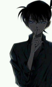 福建导航大菠萝